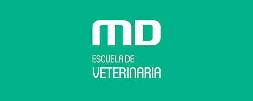Taller de debate: castración de mascotas (OBLIGATORIO PARA ALGUNOS CURSOS)
